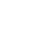 AI DNA_HOME fasa_icon 1