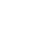 AI DNA_HOME fasa_icon 3