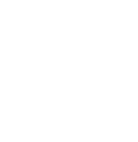 AI DNA_HOME fasa_icon 2